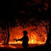 Erneut großer Waldbrand in der Region von Bordeaux