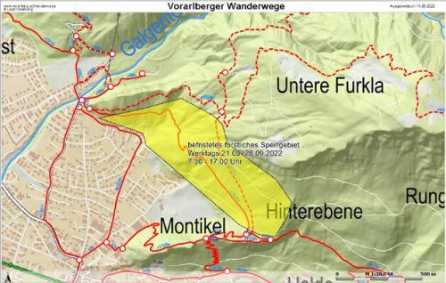 Im Bludenzer Buchenwald finden Holzarbeiten statt. Stadt Bludenz