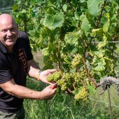 Ein vielversprechendes Jahr für den Vorarlberger Wein