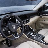 Temperament-Performance