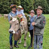 Die Kühe und Rinder von Verbella sind zurück