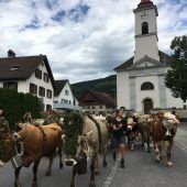 Alpabtrieb mit Käseanschnitt