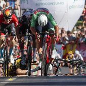 Titelverteidiger Roglic gibt nach Sturz auf