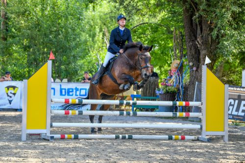 Stefanie Fetz und Sunrise holten in Salzburg den Bundesmeistertitel der Noriker. mima