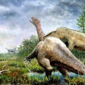 Deutsche Forscher identifizieren neue Dinosaurierart