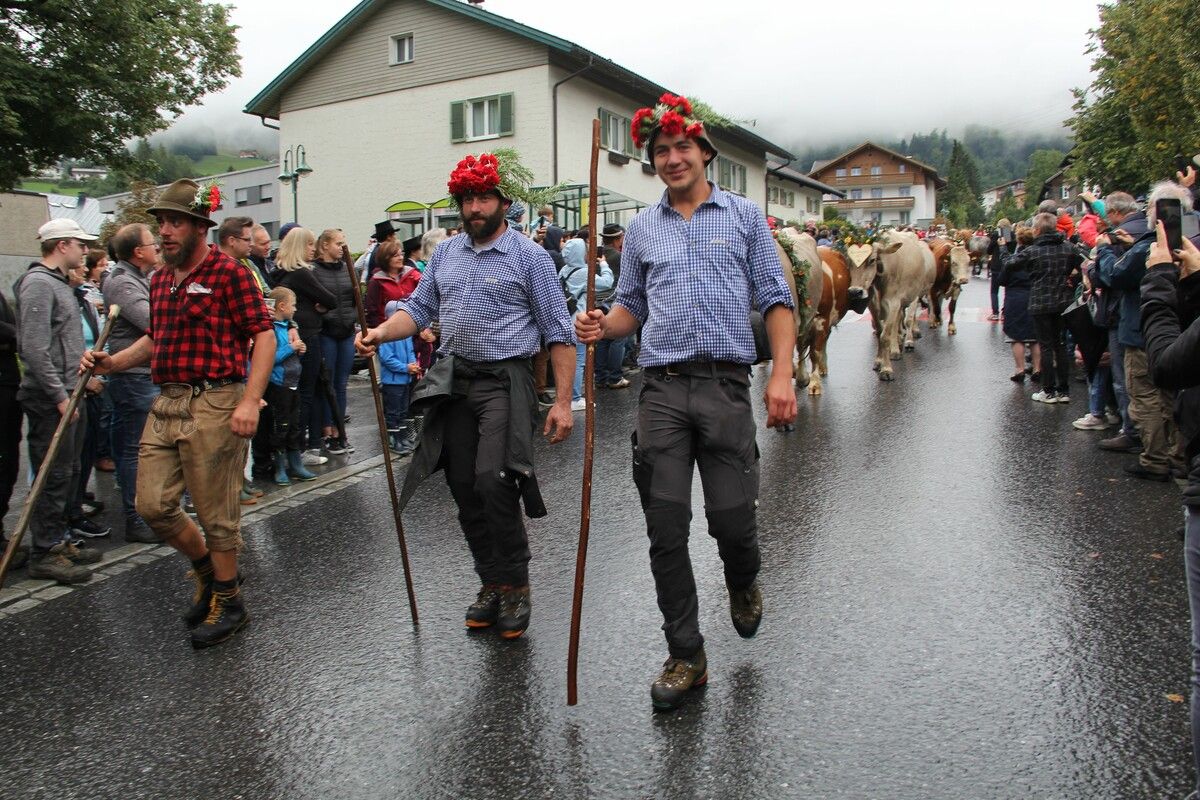 Am Samstag kehren die Kühe von den Alpen wieder ins Tal zurück. ⇒STL