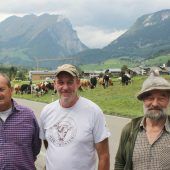 Wöster-Vieh zog noch für zwei Wochen ins Vorsäß