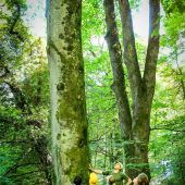 Im Wald mit Plumpsklo und kaltem Wasser