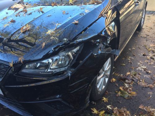 Der Seat Ibiza überstand die unerlaubte Spritzfahrt nicht unbeschadet. vn/gs