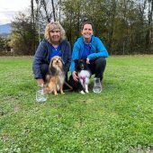 Landesmeisterschaft Agility