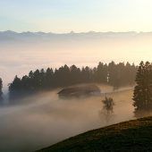 Ihr Ländle-Foto in der VN-Heimat