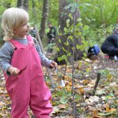 Stadt Dornbirn pflanzt „jedem Kind einen Baum“