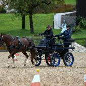 Fest für Pferd und Reiter in Langenegg
