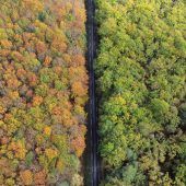 Bilder des Tages