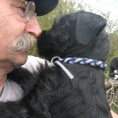 Wie der Hund…