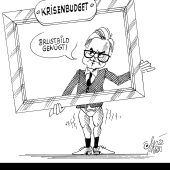 Die ganze Budgetwahrheit!