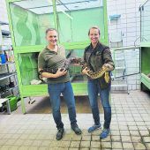 Auf Erholung im Wildpark