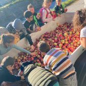 Vom Apfel zum Most