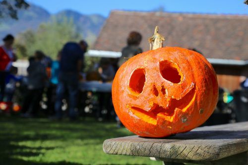 Halloween nähert sich und so werden in Meiningen wieder Fratzen in Kürbisse geschnitzt. TAY
