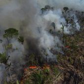 Schwerste Brände im Amazonasgebiet seit zwölf Jahren