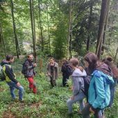 Der Wald als spannender Lernort