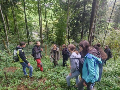 Interessiert folgen die Schülerinnen und Schüler den Ausführungen von Waldaufseher Rafael Fetz.  ME/2