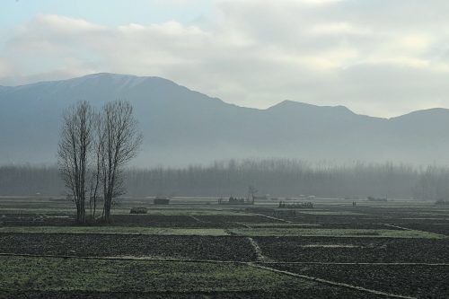 Laut WMO stammt ein Großteil des Gases aus Feuchtgebieten und Reisfeldern.