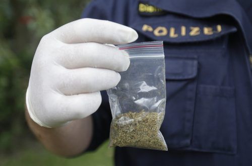 legalisierung Bernhard Amann wünscht sich eine europäische Lösung.