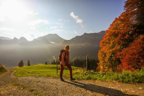 Mehr Herbst geht nicht: Buntes Laub, tiefstehende Sonne, etwas Nebel.  VN/ Philipp Steurer