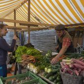 Bewegung und Ernährung formen Mikrobiom im Darm