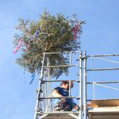 Firstbaum für Bauprojekt Eschenrain