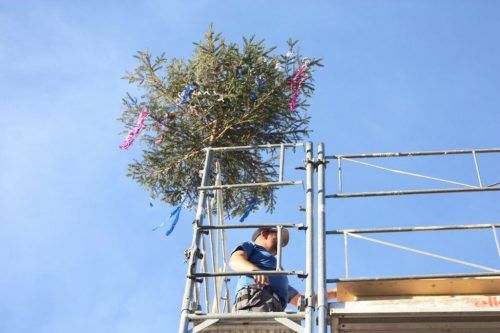 Traditionsgemäß wurde dabei der Firstbaum aufs Dach aufgezogen.