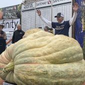 Megakürbis stellt neuen US-Rekord auf