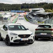 Rassiger Spanier mit Extra-Power aus dem Allgäu