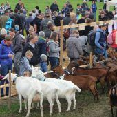 „Goaßamarkt“ geht in die nächste Runde