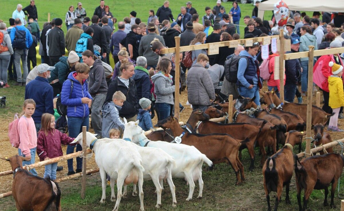 Die Veranstaltung mit den Tierausstellungen lockt jedes Jahr bis zu 10.000 Besucher. STP