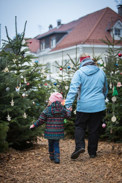Den Zauberwald am Kirchplatz gibt es auch heuer wieder. Stadt