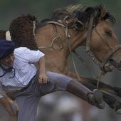 Bilder des Tages