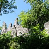 Ruine Neuburg wird winterfit gemacht