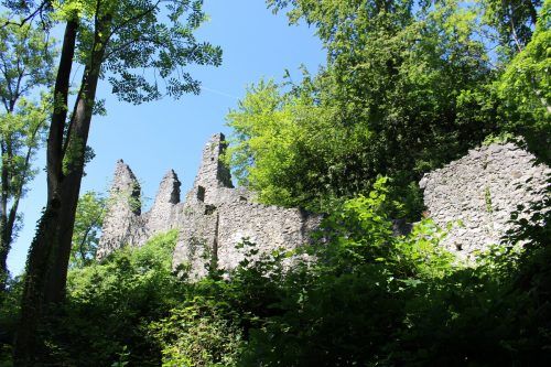 Der Bewuchs setzt den Burgmauern auf Dauer sehr zu, weshalb dieser regelmäßig entfernt werden muss. VN/SAH