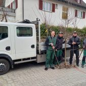 Stadt Dornbirn und OGV geben wieder Hochstammbäume aus