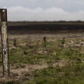 Weltnaturerbe ausgetrocknet