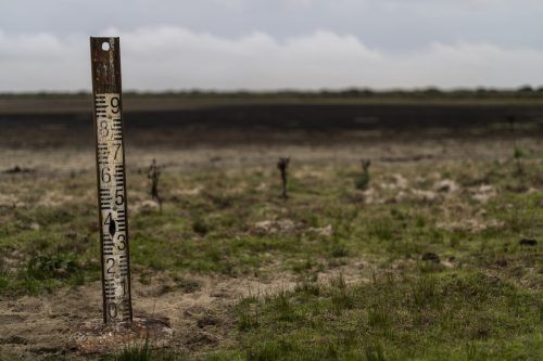 Die Lagunen im Doñana-Nationalpark versiegen, die meisten Tiere sind verschwunden. AFP