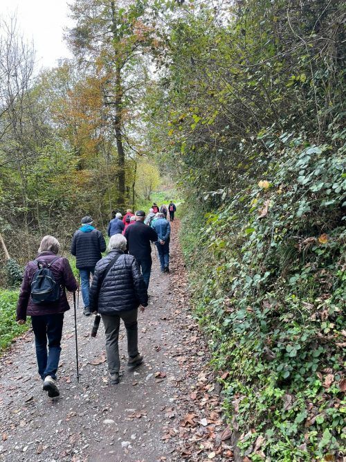 Die letzte Wanderung führte die Mitglieder des Seniorenbunds nach Göfis. sb göfis