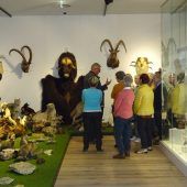 Ausflug ins ARCHE-NOAH-Museum