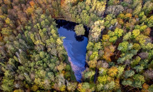 Diese herbstliche Aufnahme eines kleinen Sees stammt aus Usingen in der Nähe von Frankfurt. AP