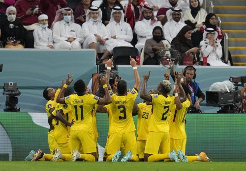 Ecuador feiert und Katars Fans können nur dabei zuschauen. Die Südamerikaner besiegten im Eröffnungsspiel der WM Gastgeber völlig verdient mit 2:0. gepa