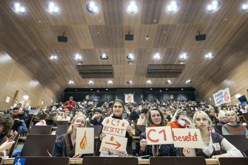"Erde brennt" fordert unter anderem soziale Gerechtigkeit und mehr Uni-Budget. APA