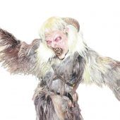Krampusse bevölkerten den Festplatz