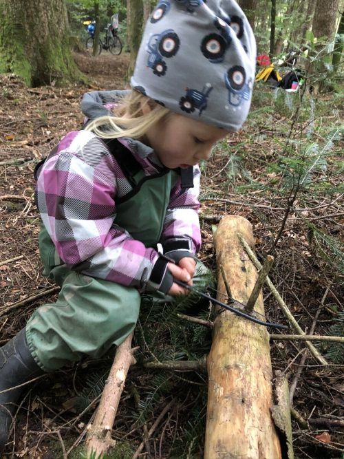 Genutzt wird, was der Wald bietet.